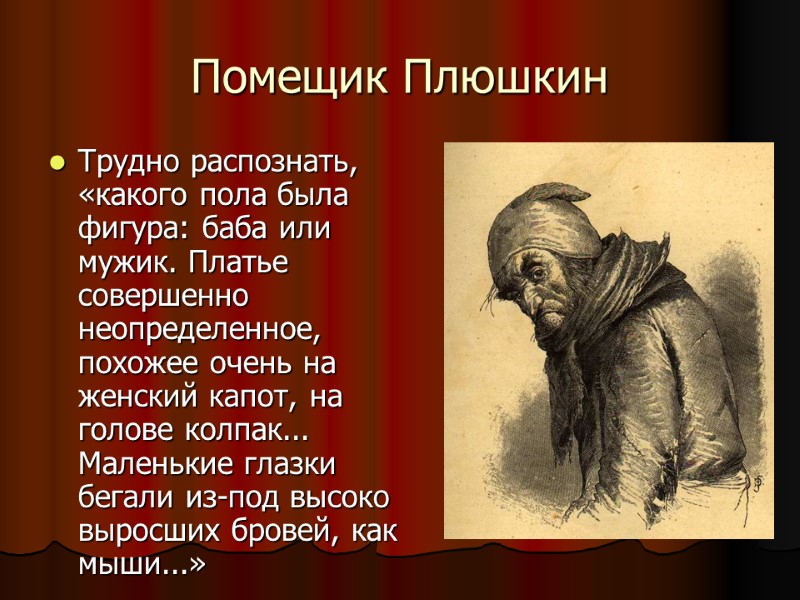 Помещик Плюшкин Трудно распознать, «какого пола была фигура: баба или мужик. Платье  совершенно